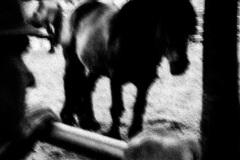 01052026-dscf4427