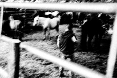 01052026-dscf4444