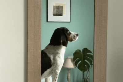 Shot with NOMO RAW. Color Solution: C (X100V C-Chrome).