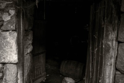 DSCF8278