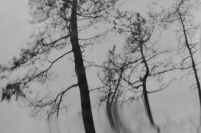 01052026-DSCF4636