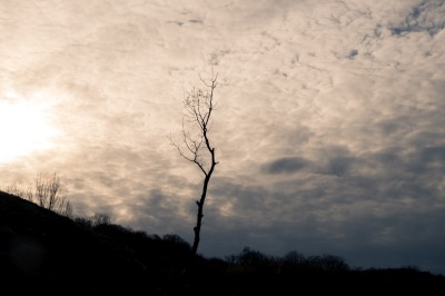 DSCF3355
