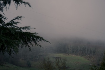 DSCF3427