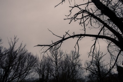 DSCF3472